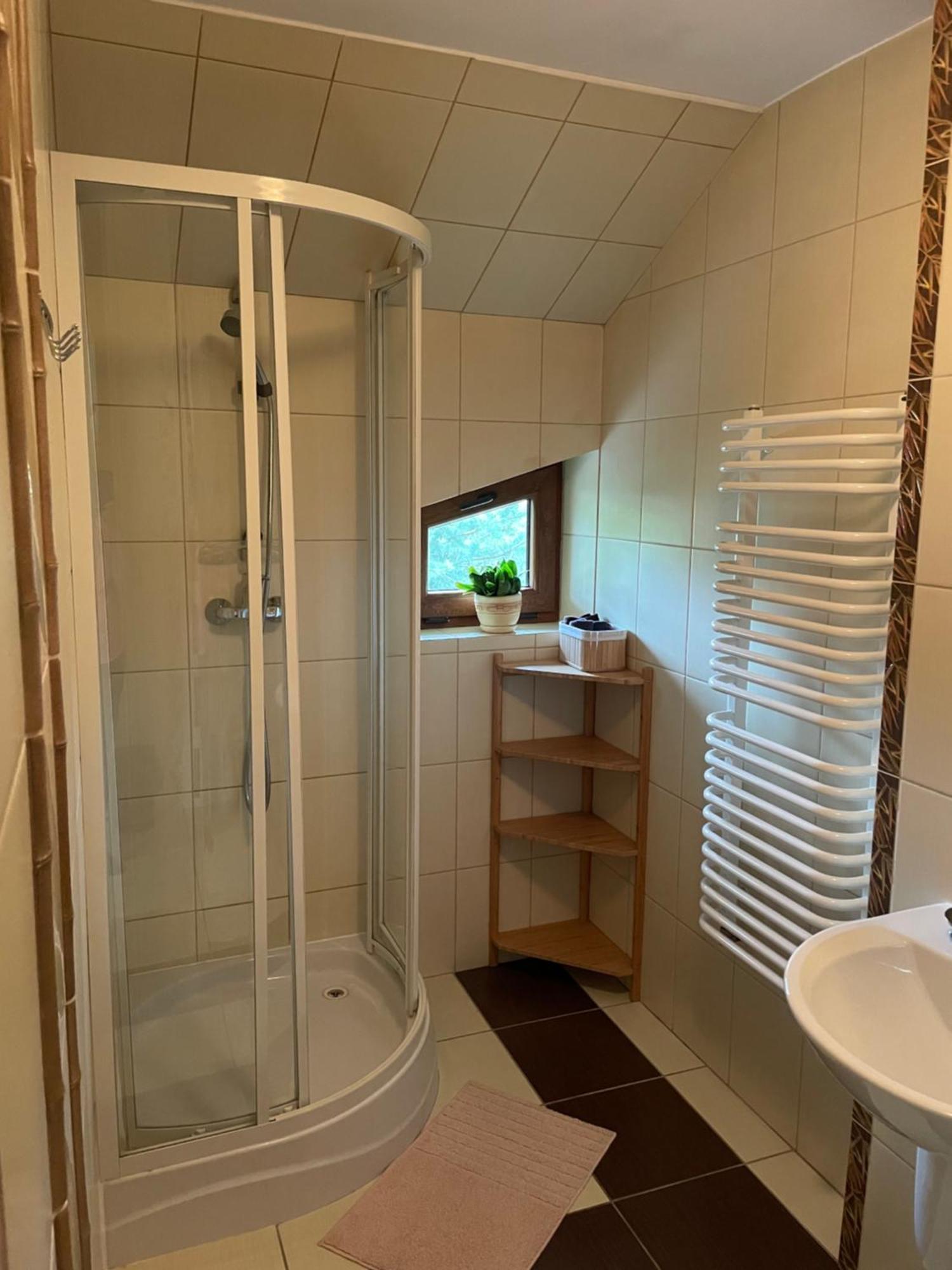 Pod Dzika Roza Apartment Baligrod